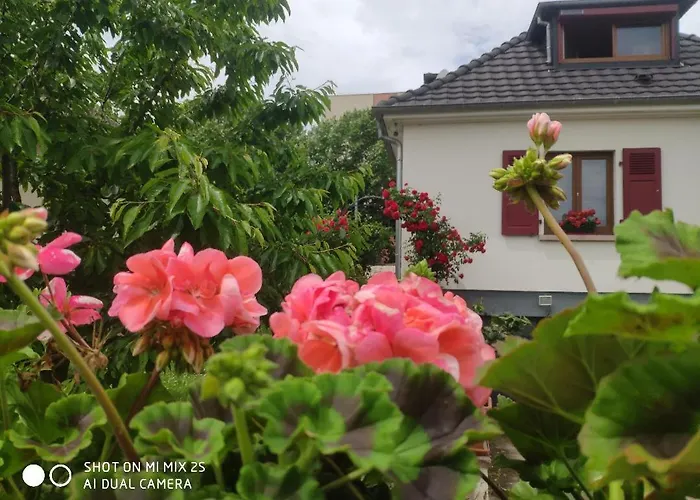 Colmar , Séjour calme chez l\'habitant