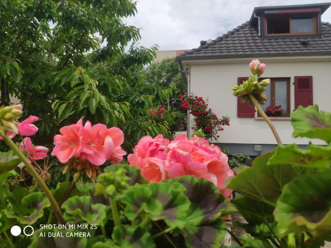 Room, Sejour Calme , Parking Gratuit * Colmar