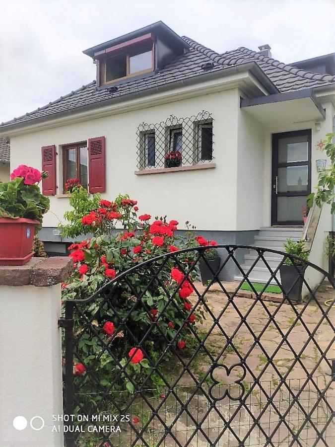 Room, Sejour Calme , Parking Gratuit * Colmar